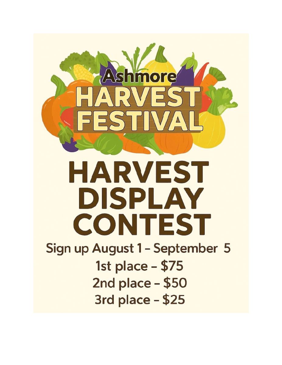 Festival Entry